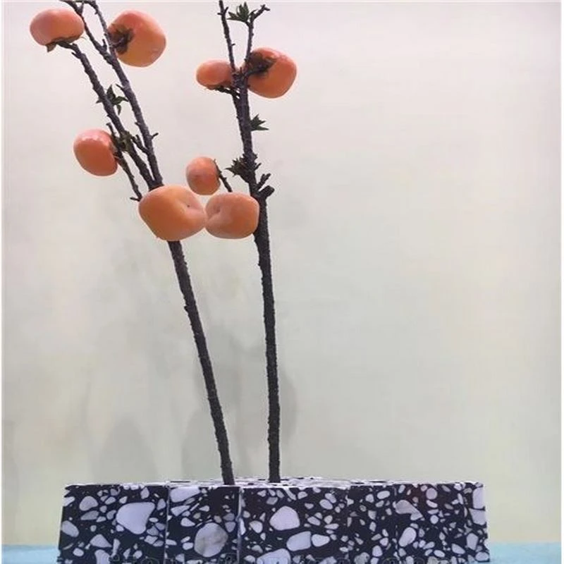 terrazzo potting.png