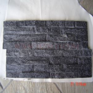 Crystal Black Quartizite Panels