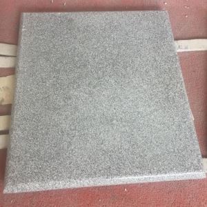Grå G603 Granit Poolhantering